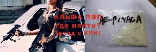 ешки Вяземский