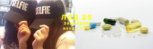 ешки Вяземский