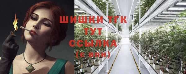 ешки Вяземский