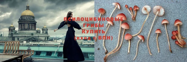 ешки Вяземский