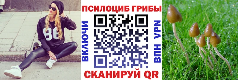 продажа наркотиков  Батайск  Псилоцибиновые грибы прущие грибы 